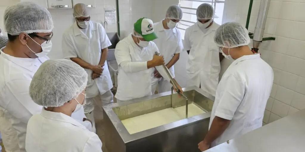 A Epamig foi constituída como empresa pública com a finalidade de desenvolver pesquisas e experimentações relacionadas à agropecuária (Epamig/Reprodução)