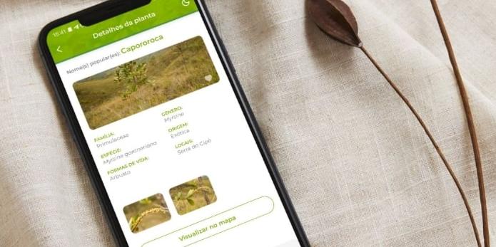 Aplicativo Flora da Serra, criado pela UFMG, identifica espécies nativas da Serra do Cipó e incentiva a conservação dos campos rupestres (Divulgação)