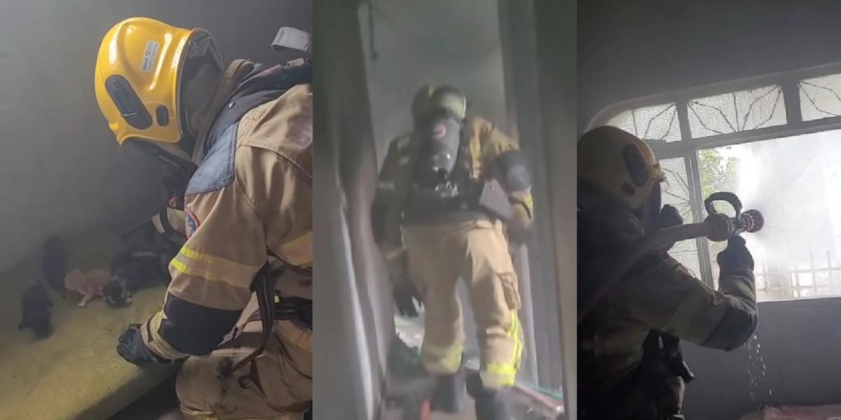 (Corpo de Bombeiros/Divulgação)