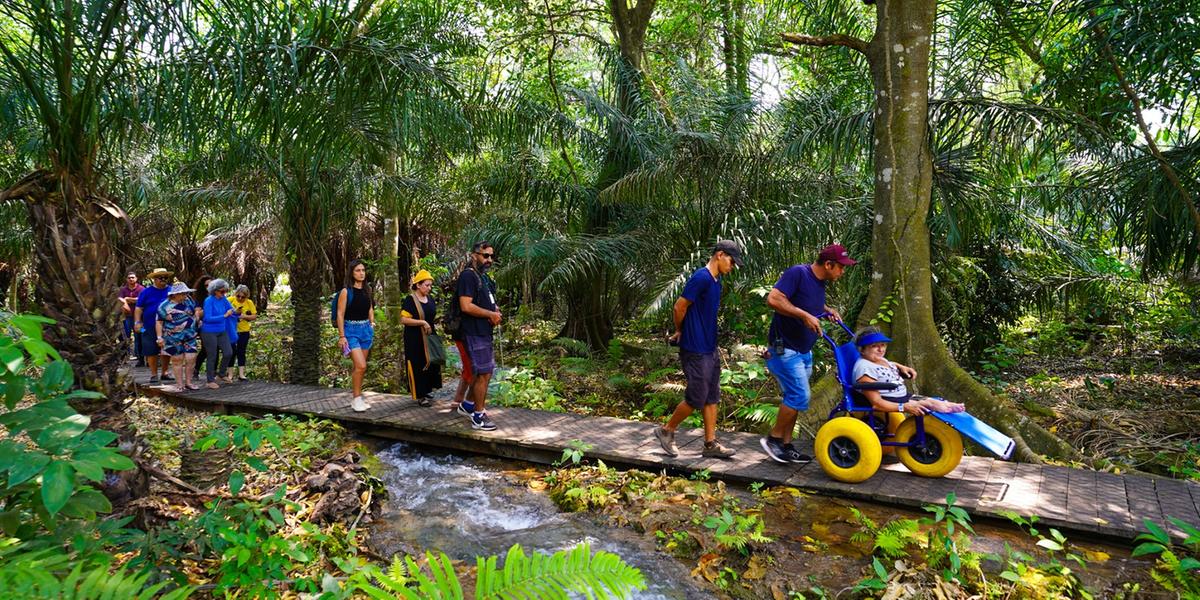 Visitantes percorrem trilha acessível na Nascente Azul, em Bonito (MS), acompanhados por monitores e utilizando cadeira anfíbia adaptada para o ecoturismo inclusivo (Divulgação)