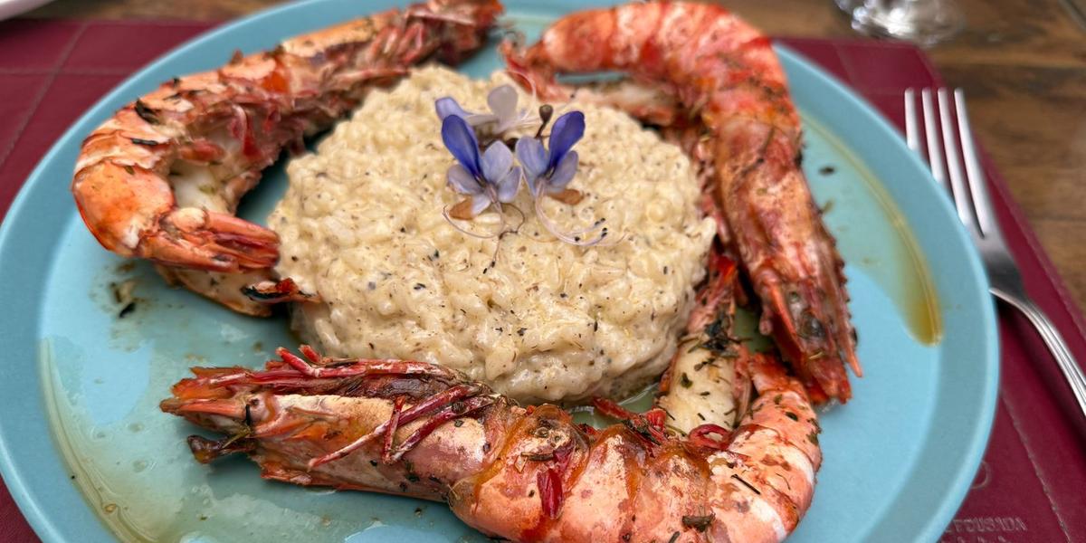 Risoto de camarão no Shangri-La, restaurante que combina sofisticação e rusticidade em um ambiente acolhedor em Serra Negra (SP) (Divulgação)
