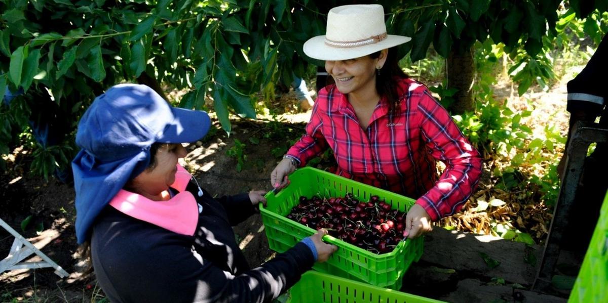 Mais de 50% das produtoras entrevistadas dizem buscar qualificação constantemente (Bayer/Divulgação)