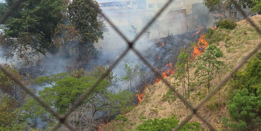 Imagens divulgadas pelos Bombeiros mostram as chamas e muita fumaça tomando a vegetação na Rua Elias Antônio Jorge, próximo ao Mosteiro e ao Hospital Luxemburgo (Reprodução/Telegram do CBMMG)