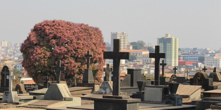 Cemitérios de Belo Horizonte terão programação especial neste sábado (2), com missas, chuva de pétalas e homenagens em memória dos que partiram (Suziane Brugnara/ PBH/ Divulgação)