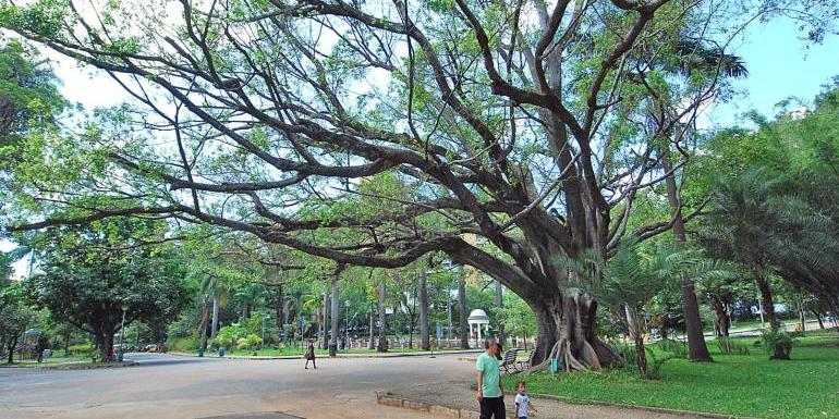 Reciclagem de resíduos é tema de evento da Semana Lixo Zero no Parque Municipal (Divulgação: PBH)
