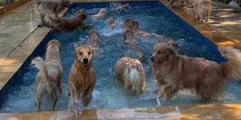  (Reprodução/Redes sociais)