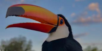  (Reprodução/Redes sociais chelleamaro)