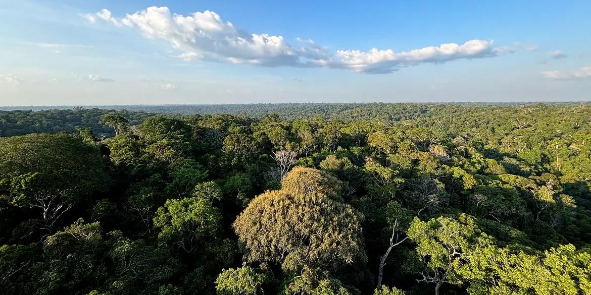 Principal objetivo da COP é definir medidas necessárias para limitar o aumento da temperatura do planeta a 1,5ºC até o final deste século, acelerando a implementação do que foi negociado nas COPs anteriores (Tânia Rêgo/Agência Brasil)