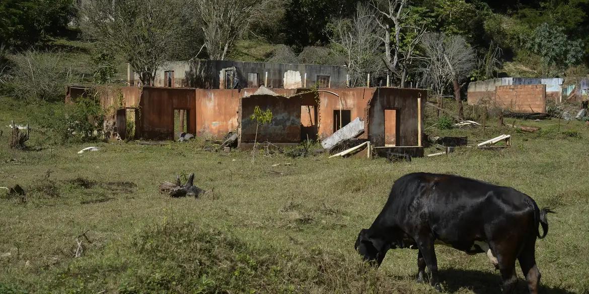 Documentário mostra impactos humanos sob a perspectiva do “terrorismo" (Tomaz Silva/Agência Brasil)