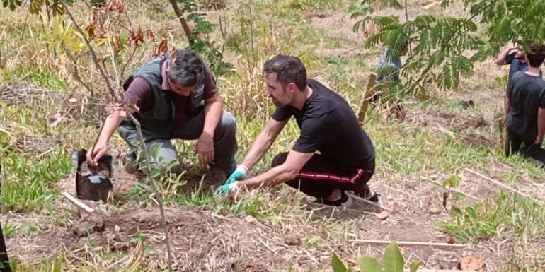 Iniciativa faz parte do Projeto Montes Verdes e contou com a participação de mais de 60 voluntários na Região Noroeste de Belo Horizonte (PBH)