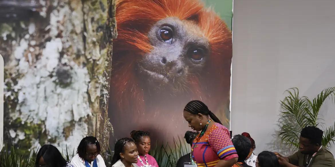 Delegações de 194 países se reúnem para debater emergência climática (Tânia Rêgo/Agência Brasil)