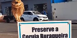  (Reprodução/Redes sociais)