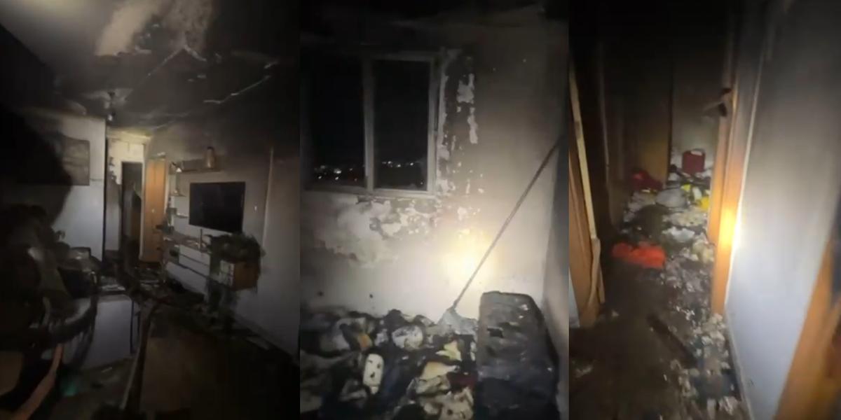 (Reprodução/Vídeo)