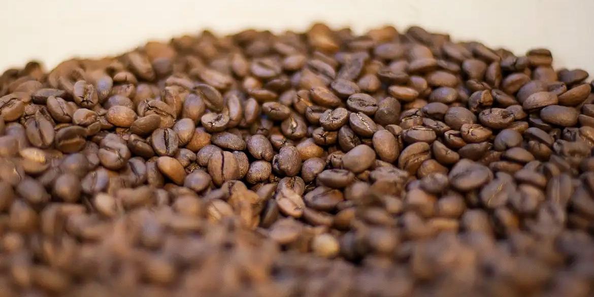 “Vamos reduzir algumas tarifas e vamos deixar entrar mais café. Tudo isso acontecerá muito rápido e com muita facilidade. É um processo cirúrgico bonito de se ver. Nossos custos de importação estão muito mais baixos”, declarou o presidente norte-americano (Marcello Casal Jr/Agência Brasil)