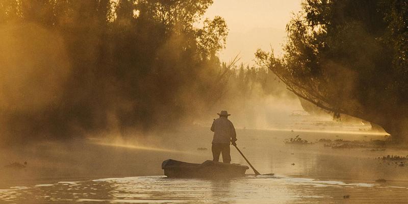 Barqueiro navega pelos canais de Xochimilco ao amanhecer, em meio à névoa que cobre a paisagem. O sistema lacustre, herança asteca, é um dos cenários mais preservados e silenciosos da Cidade do México (Arca Tierra)