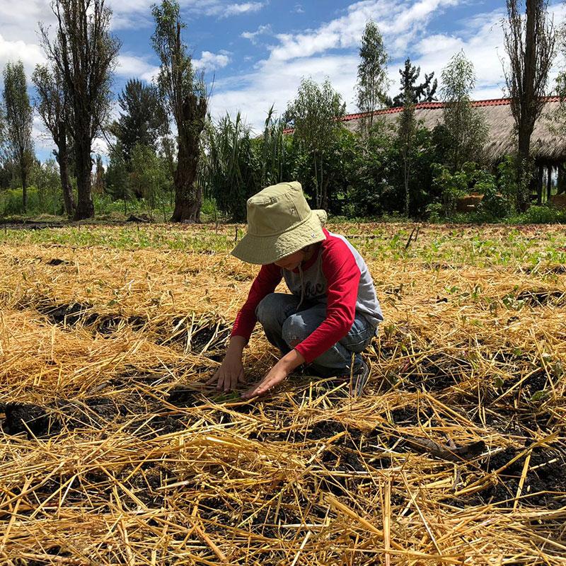 Experiências nativas são a atração principal da Arca Tierra, perto da capital mexicana (Arca Tierra)