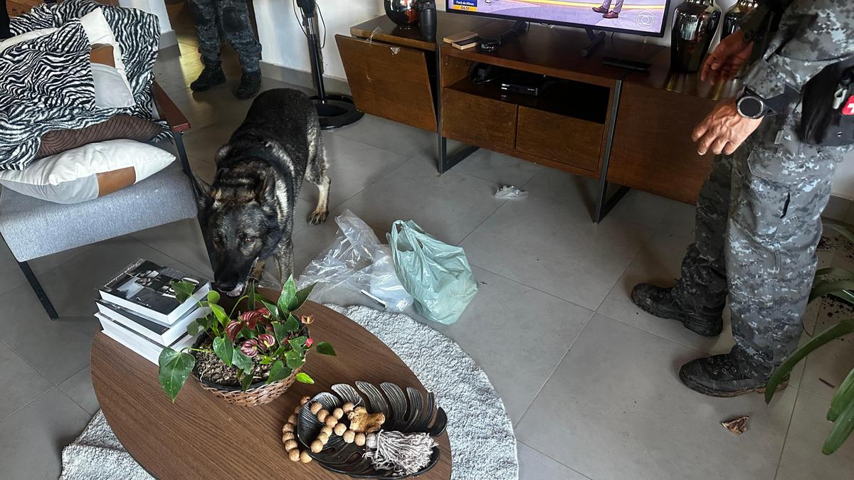 Cães foram utilizados para encontrar possíveis entorpecentes em casas dos suspeitos (Divulgação/ PCMG)
