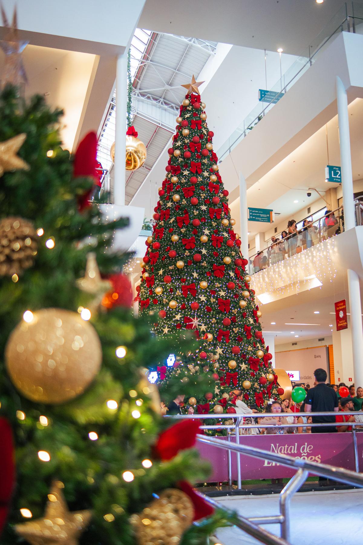 O Del Rey apresenta sua maior decoração já montada, com pista de patinação no gelo, trono acessível e ambientes imersivos (Divulgação/Shopping Del Rey)