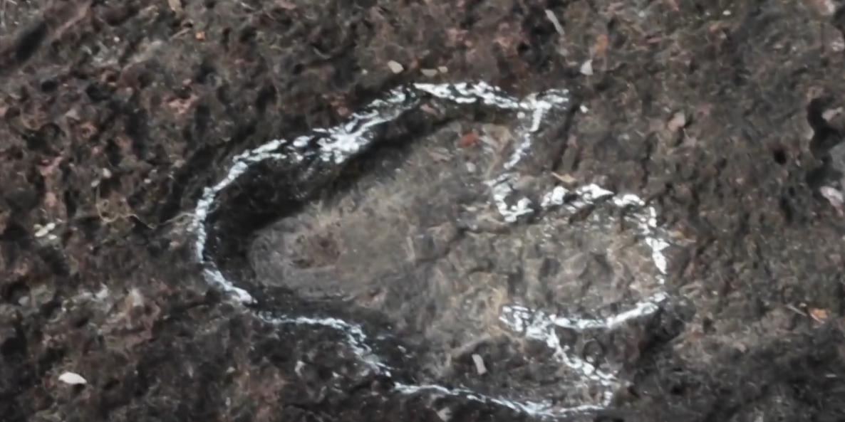 (Reprodução/Vídeo)