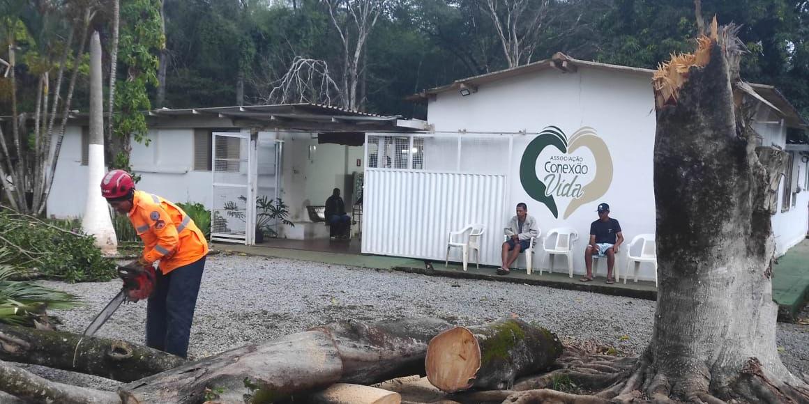 Quedas de árvore mobilizaram bombeiros no fim de semana chuvoso em Minas (Divulgação/ CBMMG)