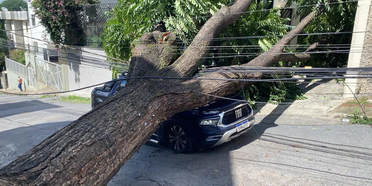 Árvore caiu sobre veículo por volta de 8h50 desta terça-feira (18) (Divulgação/ CBMMG)