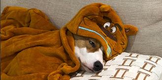  (Reprodução/Redes sociais llucas.moratoo)