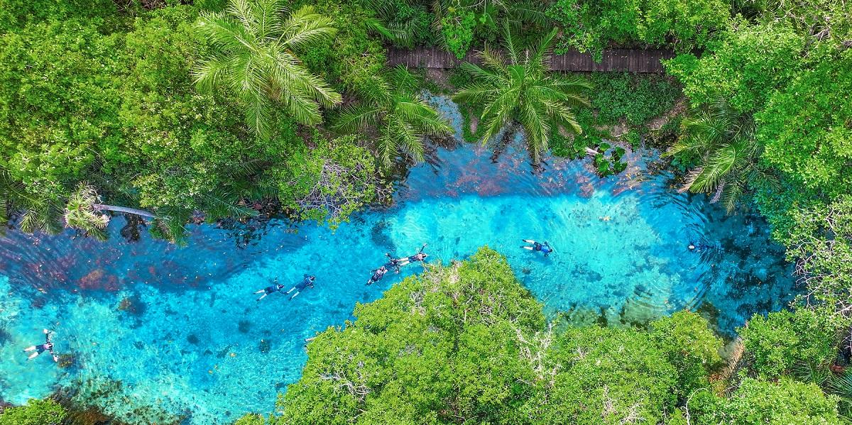 Nascente Azul comemora cinco anos como o atrativo mais visitado de Bonito e reforça modelo sustentável (Divulgação/Nascente Azul)