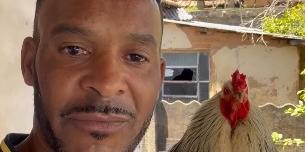 Bastião, galo que se tornou o mascote da Massa (Reprodução: Instagram)