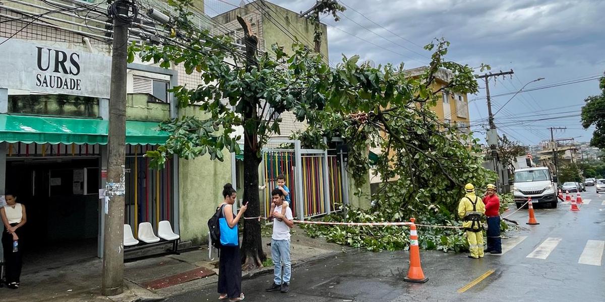 (Valéria Marques/ Hoje em Dia)