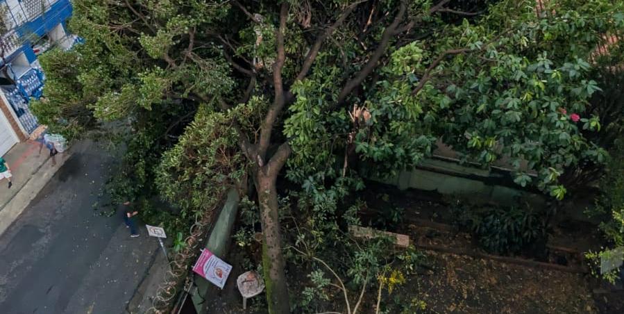 (Valéria Marques/Hoje em Dia)