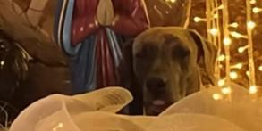 (Reprodução/Redes sociais brendosilvafr)