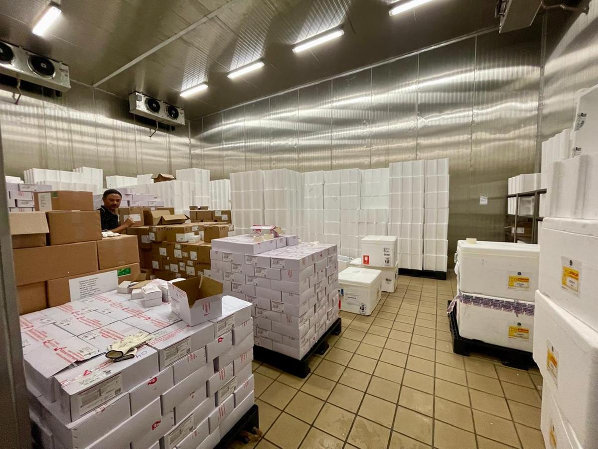 Primeiro lote das vacinas contra o vírus VSR chega à Rede de Frio da Secretaria de Estado de Saúde (SES-MG), em Belo Horizonte (Valéria Marques/Hoje em Dia)