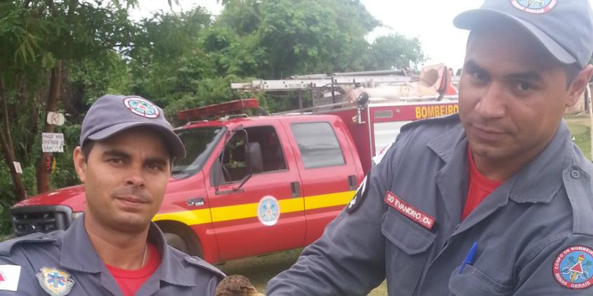  (Corpo de Bombeiros)