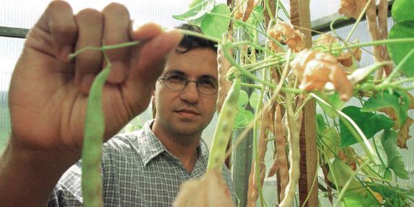  (Arquivo - Hoje em Dia)