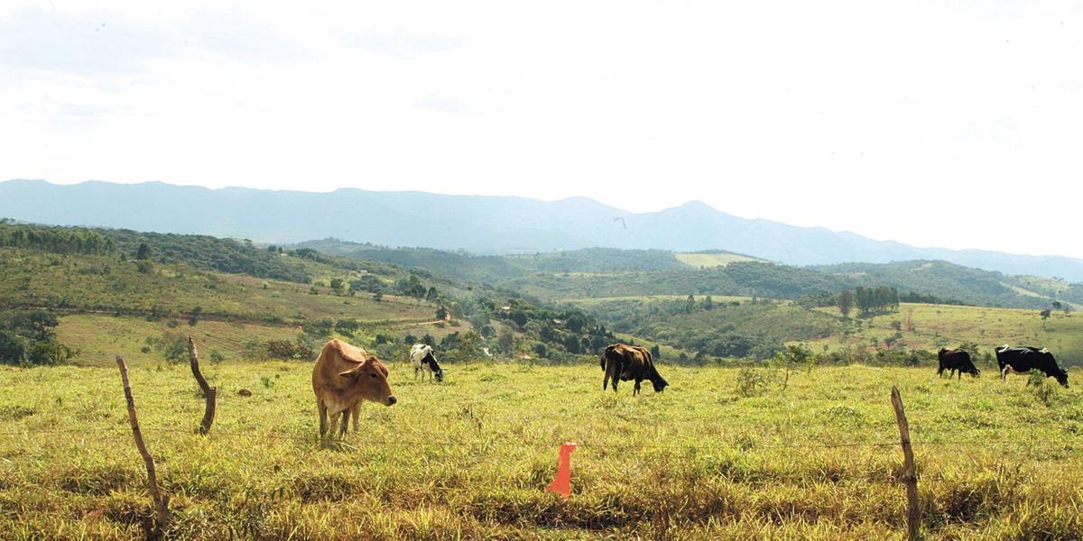 (Luiz Costa/Hoje em Dia)