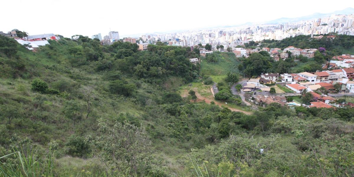 (Frederico Haikal)
