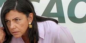 (Divulgação')
