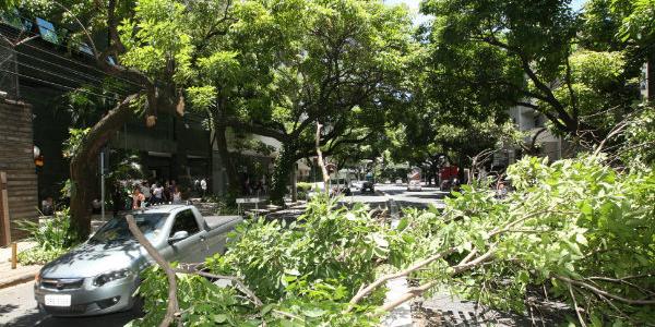  (Frederico Haikal/hoje em Dia)