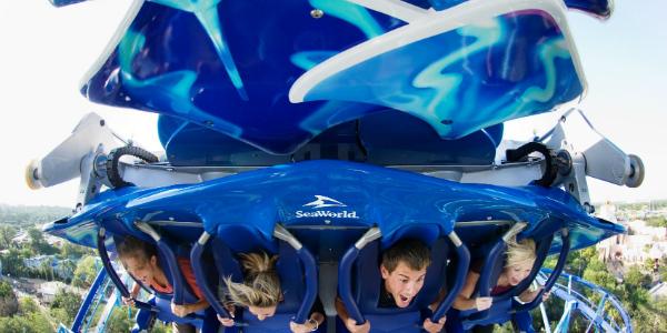 (Divulgação/SeaWorldOrlando)