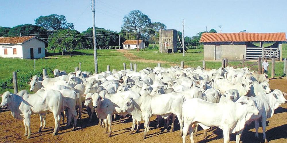 (Arquivo Hoje em Dia)