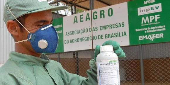 (Agência Brasil)