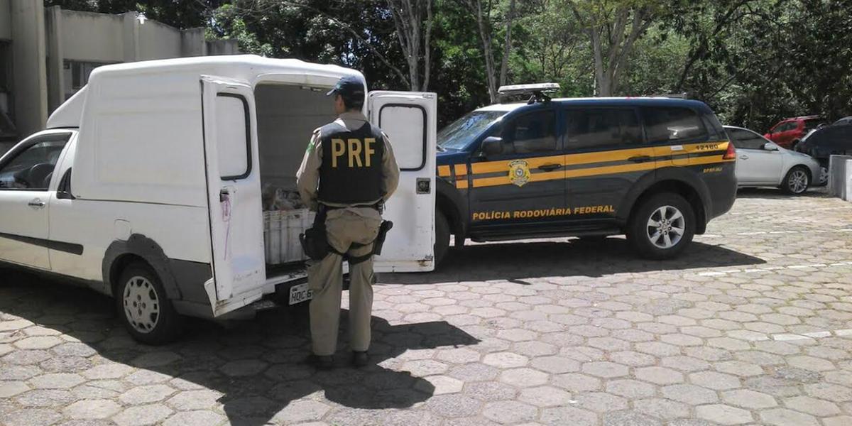 (PRF/Divulgação)