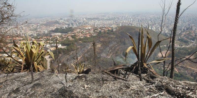  (Eugênio Moraes/Hoje em Dia)