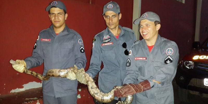  (Corpo de Bombeiros/Divulgação)