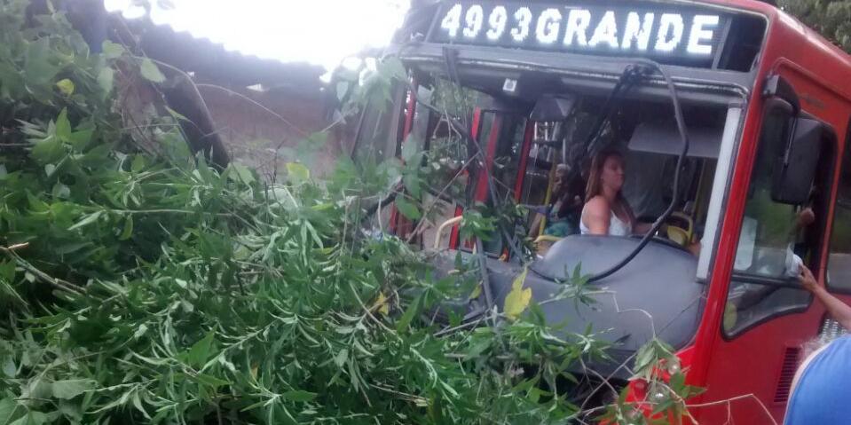 (Polícia Militar / Divulgação)