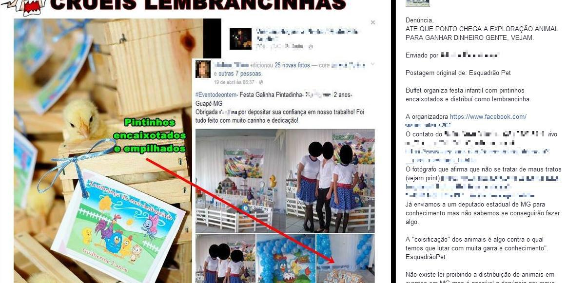 (Facebook / Reprodução)