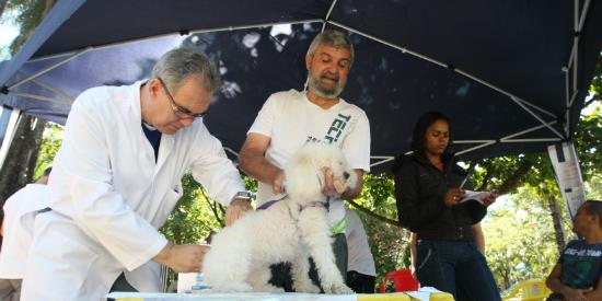 (FLAVIO TAVARES)