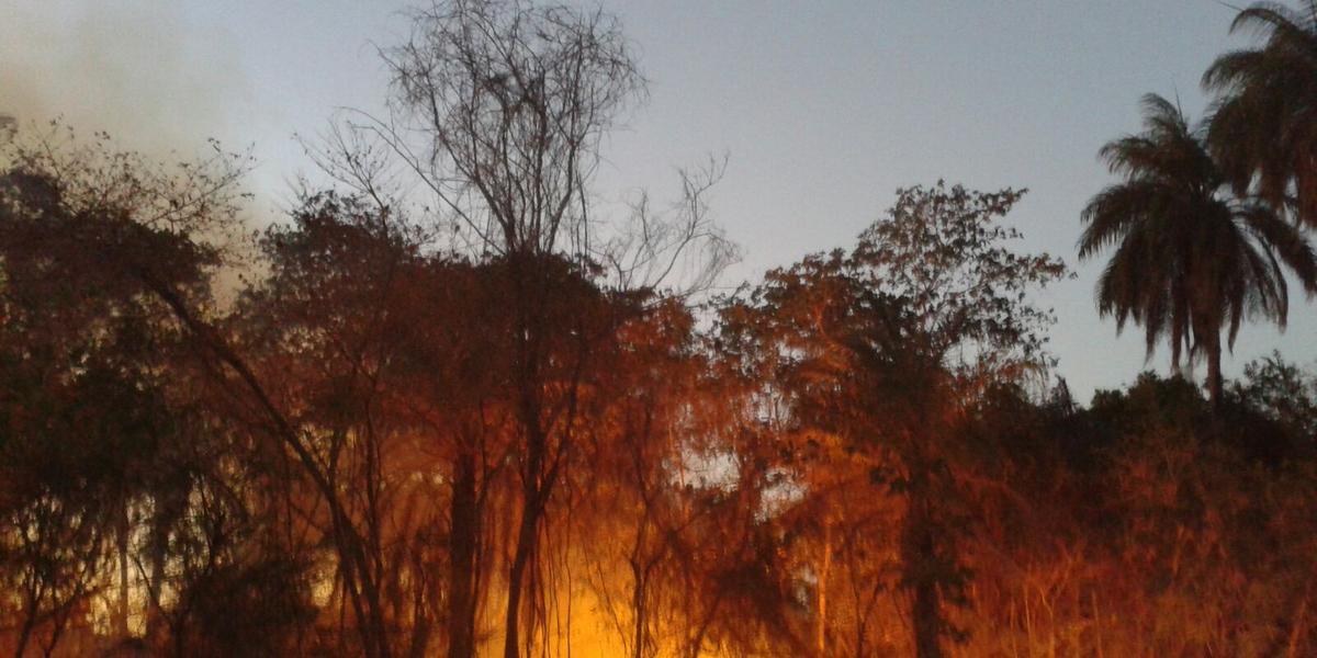  (Corpo de Bombeiros)
