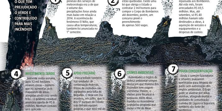 (Editoria de Arte)