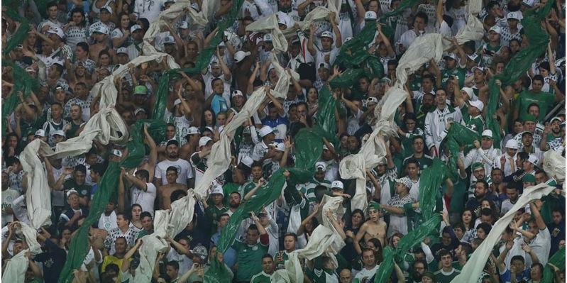 (Palmeiras)